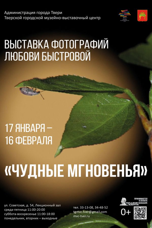 Выставка фотографий Любови Быстровой «Чудные мгновенья»