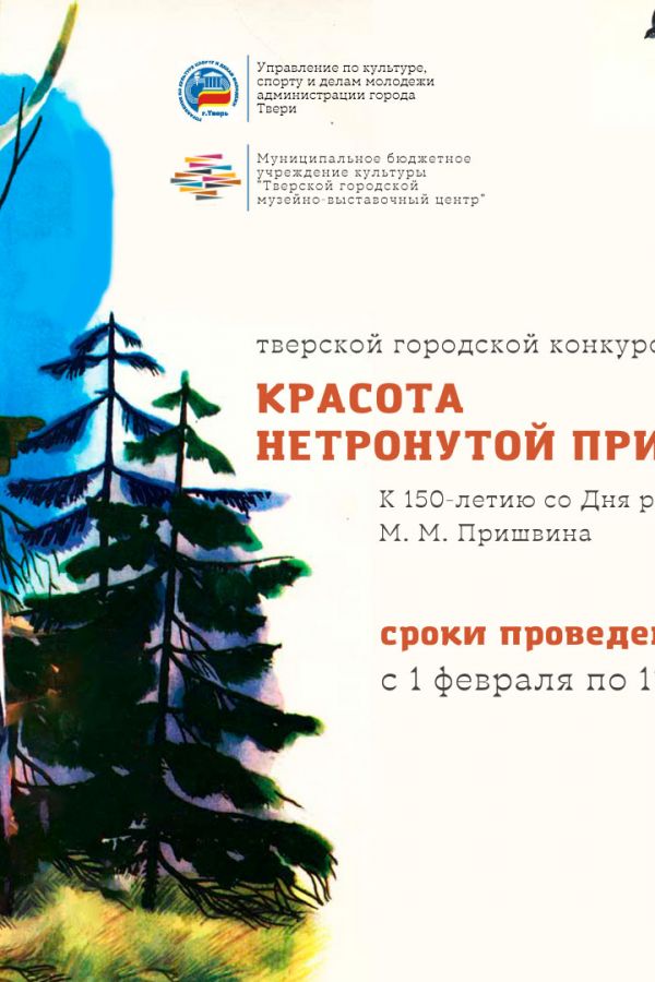 «Красота нетронутой природы» Тверской городской конкурс декоративно-прикладного творчества